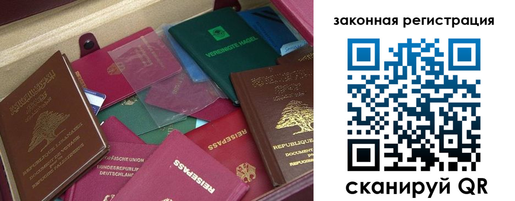 купить прописку в Палласовке